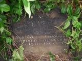 image of grave number 81935
